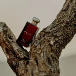 Jo Malone London Eau De Cologne><noscript><img width=