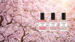 Kyoto Bloom-Nailberry Online