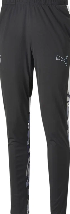 Puma Tights & Træningsbukser>Neymar Jr Creativity Training bukser