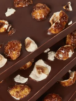 Noisette Nior-Summerbird Online