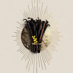 Atelier Des Ors Nicheparfumer>NOVAE VANILLA - EAU DE PARFUM 100ML