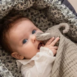 Nusseklud, Elefanten Finley-Sebra Outlet