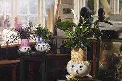 Olga Vase H35 cm sand-Bjørn Wiinblad Online