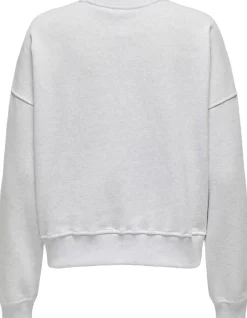ONLDAZE L/S CREW NECK SWT NOOS Dame Sweatshirts & Sweatpants
