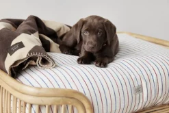 Otte Hundeseng - Lille-OYOY Living Design Online