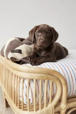 Otte Hundeseng - Lille-OYOY Living Design Online