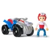 Basic Vehicle-Paw Patrol New