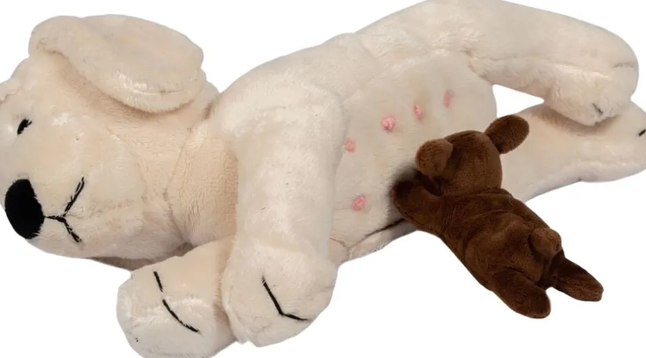 Børn Legetøj Babylegetøj>PLYSHUND MED HVALPE