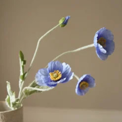 Poppy Flower-Botané Sale