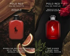 Ralph Lauren Polo Red Eau de Toilette 40ml-Polo Ralph Lauren Clearance