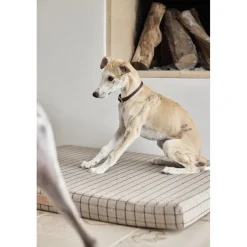 OYOY Living Design Til Boligens Kæledyr><noscript><img width=