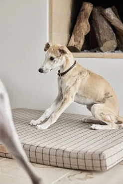 OYOY Living Design Til Boligens Kæledyr><noscript><img width=