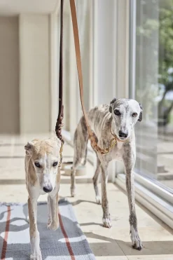 OYOY Living Design Til Boligens Kæledyr>Robin Hundesnor - M/L