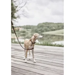 Robin Hundesnor - M/L-OYOY Living Design