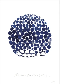 Discount Rubus Plakater & Rammer