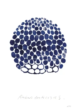 Discount Rubus Plakater & Rammer