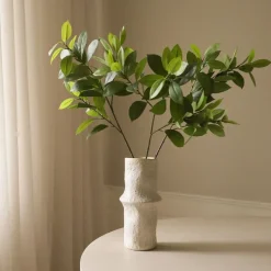 Ruscus Leaves-Botané Sale