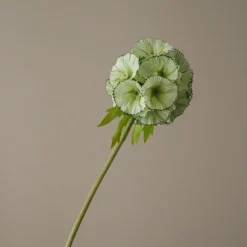 Botané Kunstige Blomster & Træer>Scabiosa Seed Pod Flower