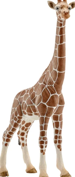 Børn Schleich Legetøjsfigurer>Sch Giraffe Female