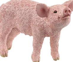 Børn Schleich Legetøjsfigurer>grise unge