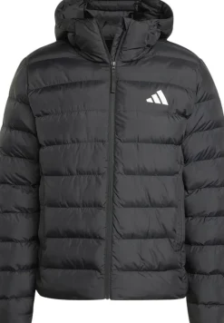 Clearance SDP Jakke Børn Jakker & Overtøj