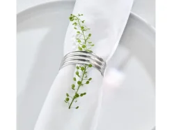 Gense Tilbehør Til Bordet>Servietring Thebe Edition 2024 4 stk. Blankt stål Recycled
