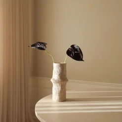 Small Anthurium Flower-Botané Best