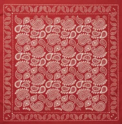 Dame Mads Nørgaard - Copenhagen Halstørklæder & Tørklæder>Soft Cotton Paisley Scarf Solid