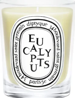 Diptyque Dufte Til Hjemmet>Standard candle Eucalyptus