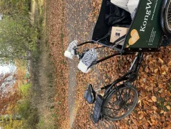 Børn Kong Walther Vanter & Luffer><noscript><img width=