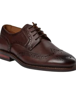 Sterling-DIGEL Outlet