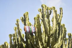 Børn Molo Tasker><noscript><img width=