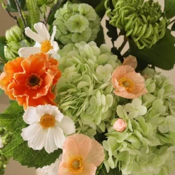 Sunlit Harmony-Botané Online