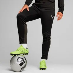 Teamgoal Bukser-Puma Discount