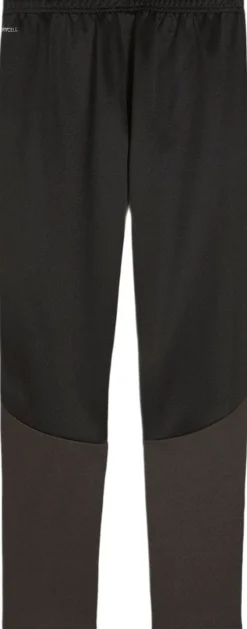 Børn Puma Tights & Træningsbukser>Teamgoal Bukser