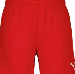 Dame Puma Træningsshorts>TeamGOAL Dame Shorts