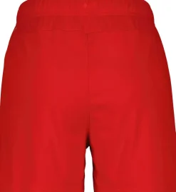 Dame Puma Træningsshorts>TeamGOAL Dame Shorts