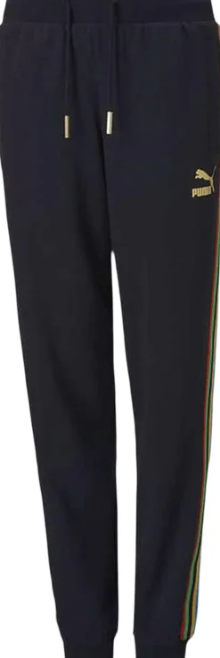 Børn Puma Tights & Træningsbukser>TFS Worldhood Track bukser