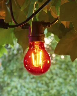 Tobias, Reservepære, Rød-Sirius Online