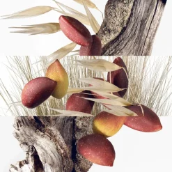 New Un Jardin à Cythère Eau De Toilette 100ml Eau De Toilette