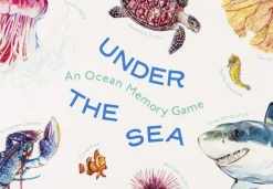 Online Under The Sea - An Ocean Memory Game Børn Spil & Puslespil