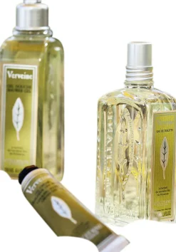 L'Occitane Eau De Toilette>Verbena Eau De Toilette 100ml