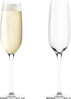 Eva Solo Glas>Vinglas Champagne 2 stk