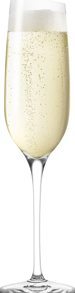 Eva Solo Glas>Vinglas Champagne 2 stk