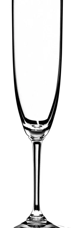 Vinum Champagne 6416/08-Riedel
