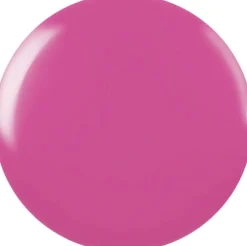 CND Negle><noscript><img width=