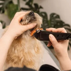 WAHL Barbering|Barbering><noscript><img width=