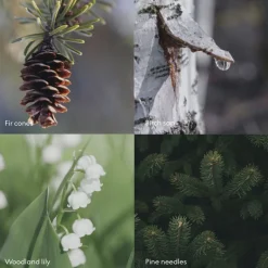 Clearance Wash SKOG 500ml Kropspleje