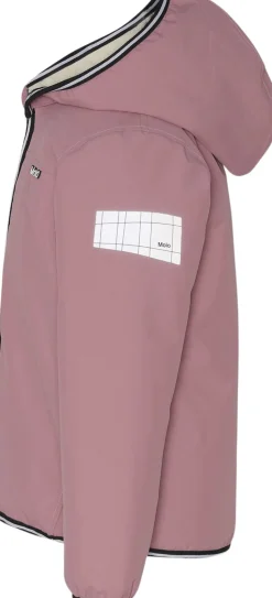 Winner-Molo Discount