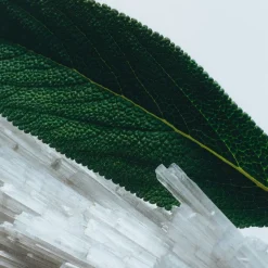 Jo Malone London Eau De Cologne>Wood Sage & Sea Salt Cologne Travel Spray